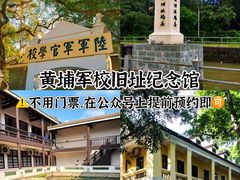 -长洲岛
