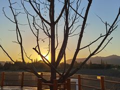 -长田漾湿地公园