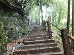 -藏龙百瀑风景区