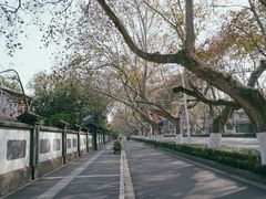 -颐和路民国时期公馆风貌区