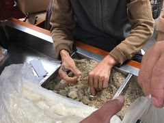 -叶氏麻糍(鼓浪屿店)