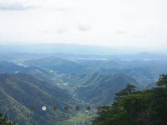 -天目山大树王景区