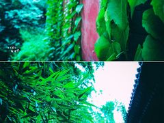 -潭柘寺景区