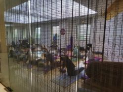 -Just Yoga 瑜伽·阿育吠陀