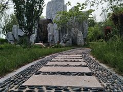 -武清南湖绿博园