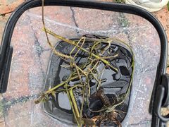 -源香农宝·亲子采摘·钓虾·科普研学