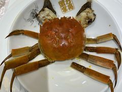 -新光酒家·河豚·海鲜·蟹料理(浦东店)