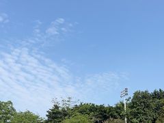 -紫马岭公园