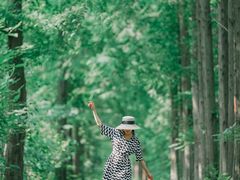 -黄海国家森林公园