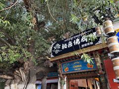 -古树酸奶(八廓南街店)
