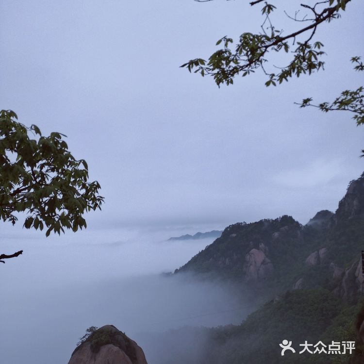 人间四月芳菲尽 花台杜鹃始盛开