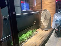 -老板恋上鱼(环山路店)