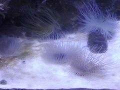 -多彩贵州城极地海洋世界