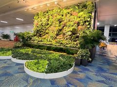 -英迪拉·甘地国际机场