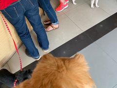 -爱侣宠医·鹦鹉专科·小型哺乳类·异宠专科(灵石路店)