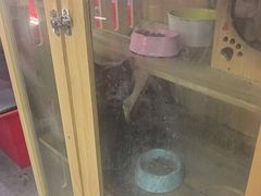 -203密室体验馆·逃脱·聚会·亲子(工体店)
