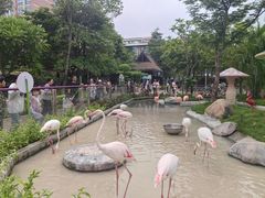 -灵玲国际马戏城