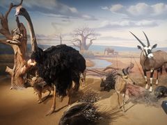 -陕西自然博物馆