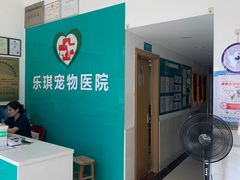 -乐琪宠物医院·犬猫专科·骨外科·急重症