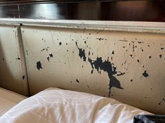 -上海浦东星河湾酒店