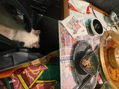 -哥老官重庆美蛙鱼头(宝山龙湖店)