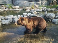 -北京野生动物园