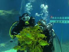 -大连圣亚海洋世界