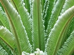 -广州国际生物岛山地公园揽胜园