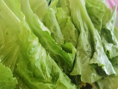 杂菜-侠成水上农庄(工业大道店)