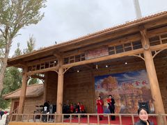 -金塔沙漠胡杨林景区