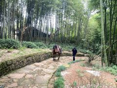 -径山寺