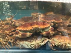 -盒马鲜生(大成店)