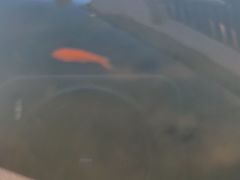 -苏州味道(阳澄湖服务区店)