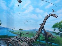 -辽宁古生物博物馆