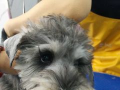 -瑞派宠物医院·24小时骨科·心脏·核磁(哈尔滨南岗店)