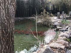 -竹泉村旅游度假区