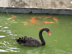 -求雨山文化公园