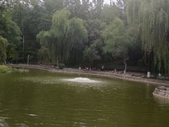 -西安市长乐公园