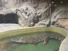 -上海大自然野生昆虫馆(东方明珠·爬宠昆虫探索中心)
