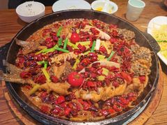 -老板恋上鱼(印象城店)