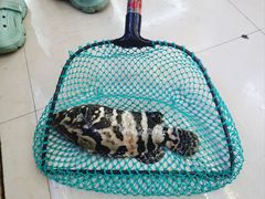 -鑫鸿达·海鲜闽菜热炒小馆(中山路店)