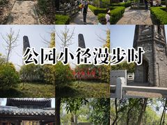 -上海佘山国家森林公园天马山园