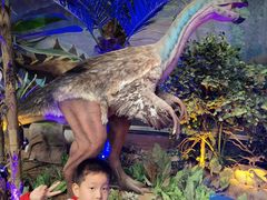 -中国西峡恐龙遗迹园