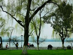 -柳浪闻莺公园