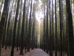 -山王坪喀斯特国家生态公园