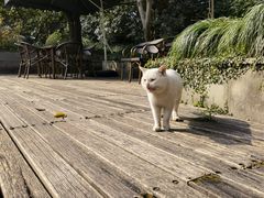 -中国茶叶博物馆(双峰馆区)