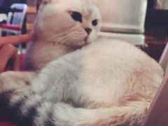 -MIKAKU(万达广场上海宝山店)