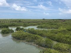 -北海金海湾红树林生态旅游区