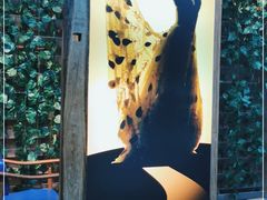 -雀舞云南菜(天津天河城购物中心店)