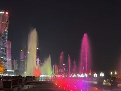 -秋水广场音乐喷泉